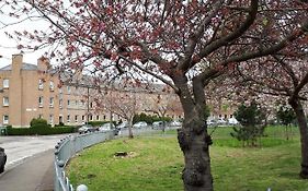 Large 3 Bedroom Apartment/Flat In Ideal Location